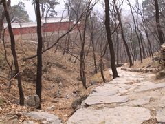 -北京上方山国家森林公园