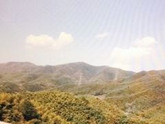 -宁波浙东大竹海景区