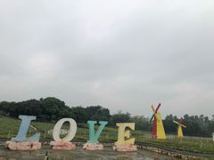 -松山湖梦幻百花洲