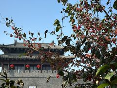 -双东酒店(东关街店)