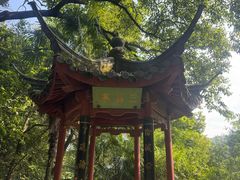 -杭州西湖风景名胜区-三生石