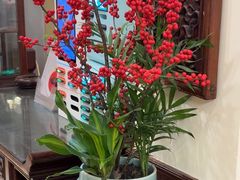 -山水茶艺馆·点心粤菜·30年老字号