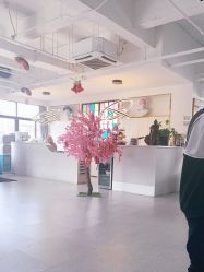 -蚂蚁造型沙龙