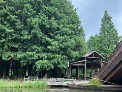 -溱湖国家湿地公园