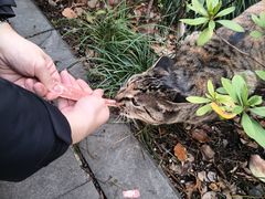 -浙江大学(玉泉校区)