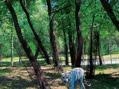 -秦皇岛野生动物园