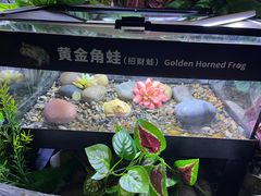 -重庆欢乐海底世界