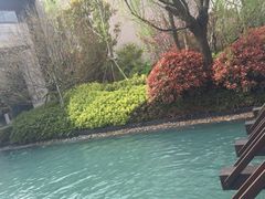 -上海崇明金茂凯悦酒店