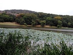 -紫金山天文台