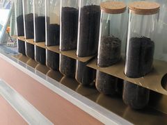 -雾与山茶(大禹城店)