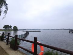 -鹅湖玫瑰文化园