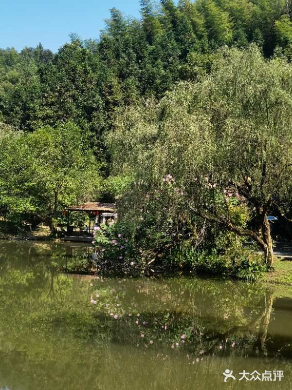常德桃花源景区图片