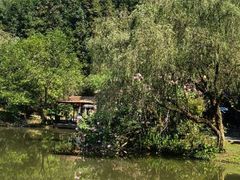 -常德桃花源景区