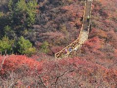 -水峪民俗村
