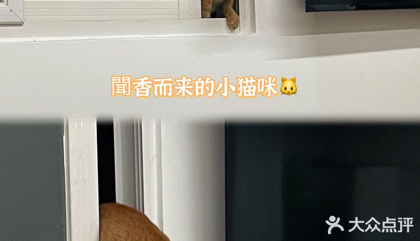 汕头探店｜不愧是上过央视📺的土鸡火锅！绝了