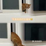 汕头探店｜不愧是上过央视📺的土鸡火锅！绝了