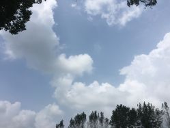 -珍珠泉水上世界