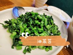 -饭怕鱼(阳光100店)