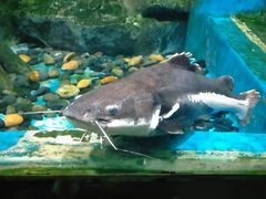 -锦艺城海洋馆