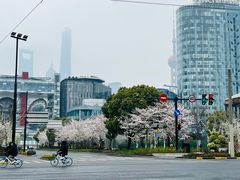 -北外滩滨江绿地