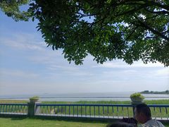 -合肥滨湖国家森林公园