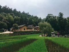 -韶山毛泽东同志故居