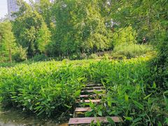 -重庆彩云湖湿地公园
