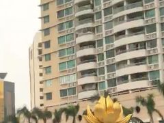 -金莲花广场