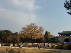 -景福宫