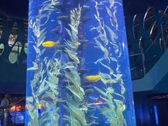 -广州海洋馆