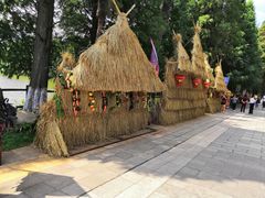 -云南民族村