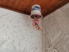 -金山农民画村-枫泾波兰倒置屋