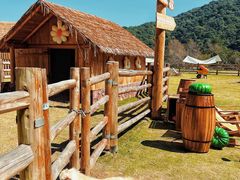 -龙岩森林水乡景区