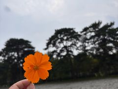 -清西陵