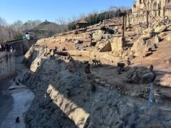 -石家庄市动物园