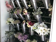 -仁义涵西餐·咖啡(中华巴洛克店)