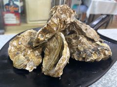 蒜蓉烤生蚝-天宝食坊·啫啫煲大排档(西华路店)