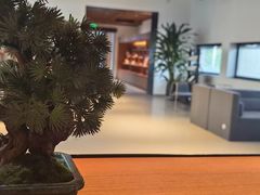 -禧宴Joyous Restaurant(禧园店)