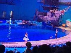 -华夏文旅海洋公园