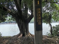 -西樵山风景名胜区-天湖公园