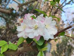 -朝阳公园