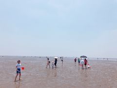 -碧海金沙