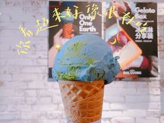 燕麦地球-Dal Cuore 达可芮冰淇淋(陕西北路店)