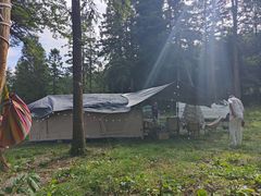 -武陵山森林公园