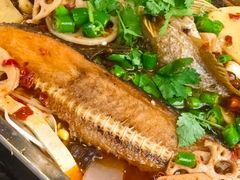 -德优正宗川菜馆