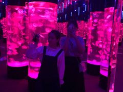 -成都浩海立方海洋公园