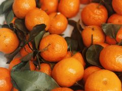 -桃仙机场头等舱休息室