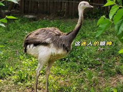 -北京动物园