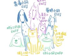 -万达广场(南昌红谷滩店)