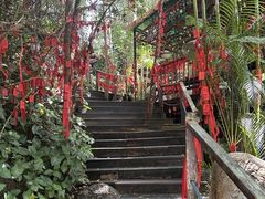 -呀诺达热带雨林
